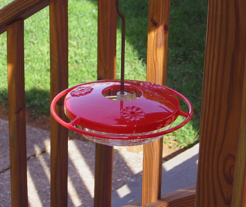 Photo of saucer type hummingbird feeder