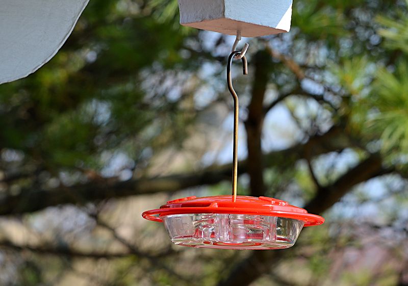 1st hummingbird feeder up for our 2014 hummingbird season